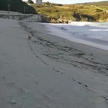 Piso Al Lado De La Playa, Ruta De Faros, Etc *